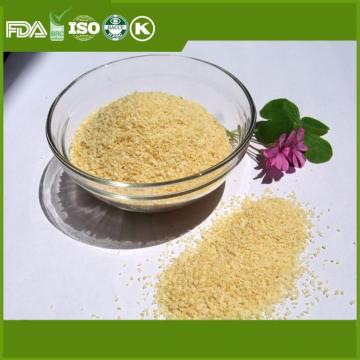 First grade dehydrated dried garlic powder