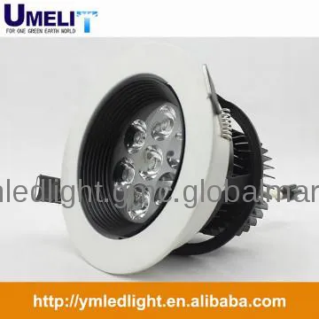 Ceiling Induction Light