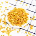 Gandum jagung kering berkualitas tinggi