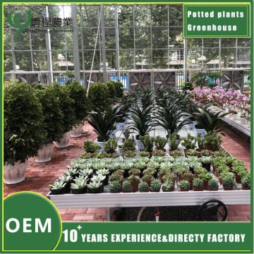 Цяпліца для гаршковых раслін