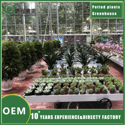 Цяпліца для гаршковых раслін