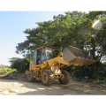 Earth Moving Machinery Lovol FL920H Mini Wheel Loader