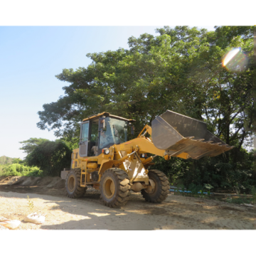 Earthmoving Machinery Lovol FL920H 미니 휠 로더