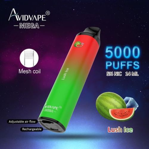 Avidvape mega wegwerp vape 5000 puffs 5%