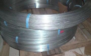 Cavo ovale in acciaio Gl 2.2x2.7mm