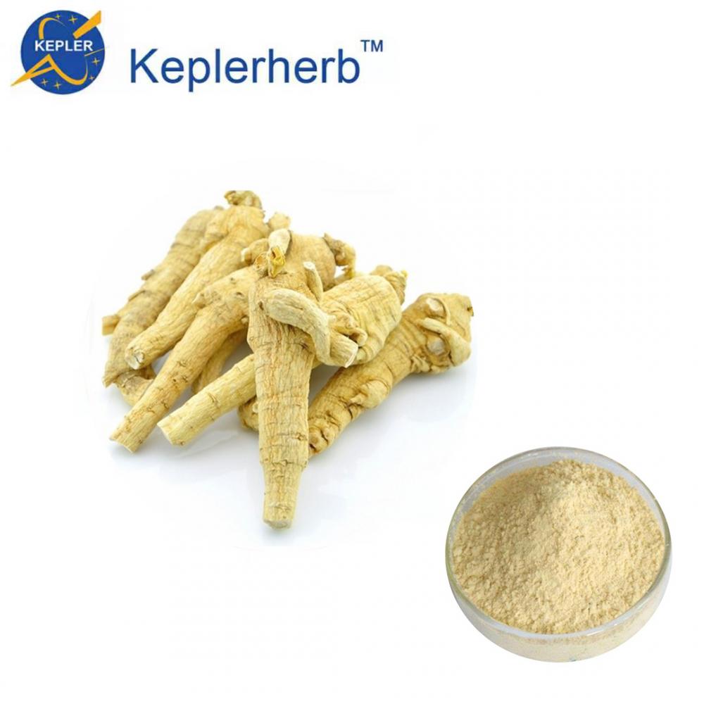 Amerikanisches Ginseng-Extrakt-Pulver