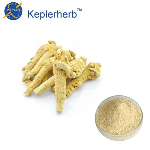 American Ginseng Extract Puritan's Pride American Ginseng Extract powder Manufactory