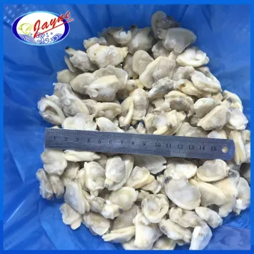 tasty and delicious high quality clam frozen clam meat without shell