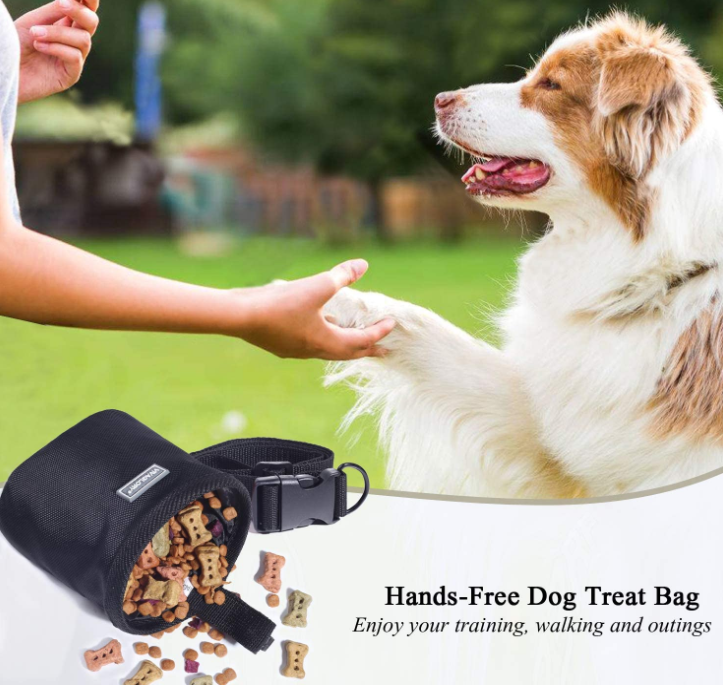 Hands-Free Dog Training Pouch