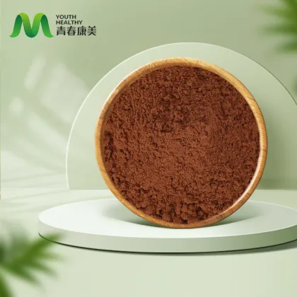 Organic Lion's Mane Mushroom Powder
