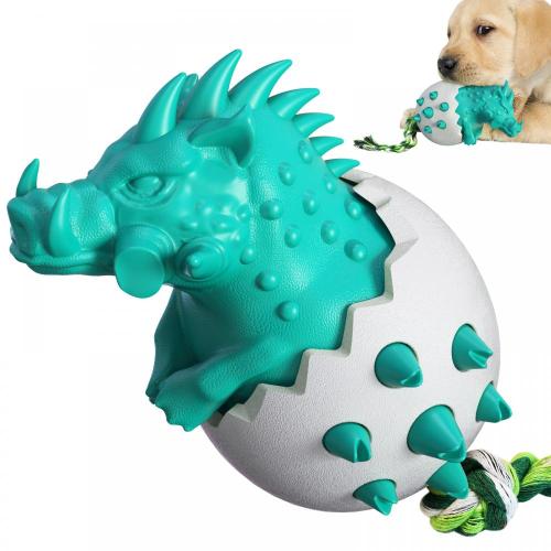 chien mâcher des jouets oeuf de sanglier sauvage