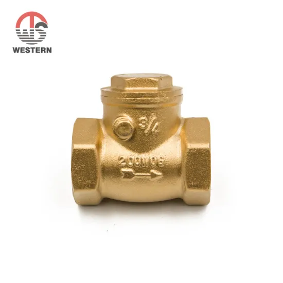 1/2"  dn100 NPT BSP thread FxF Horizontal water non return valve brass swing type flap check valves