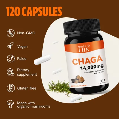Mushrooms Chaga Mushrooms Capsules Support Health