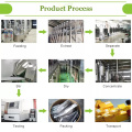 Pure Malt Extract Powder