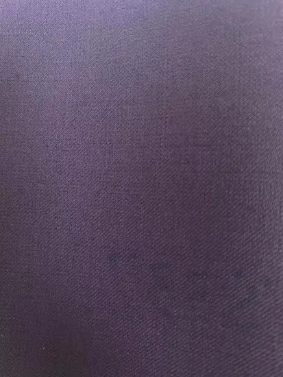 Top quality 180S Woolen suits fabric