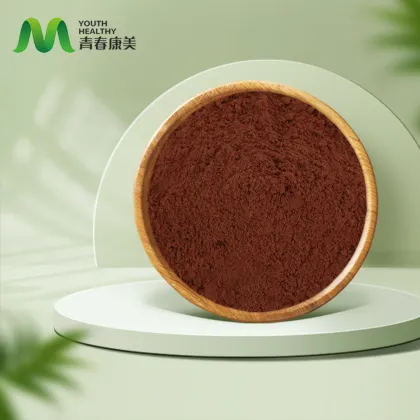 Organic Reishi Mushroom Extract Powder