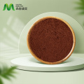 Miglior Reishi Extract Powder