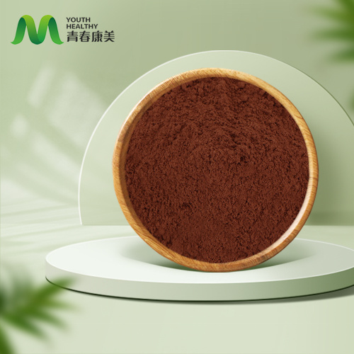 Органски Реисхи гљиви прах