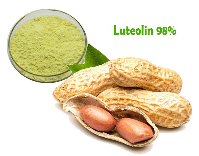 Luteolin 98% polvo cáscara de cacahuete extra grande precio