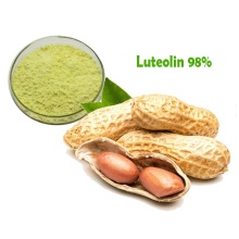Luteolin 98% Pulver Erdnussschale Extrakt-Massenpreis