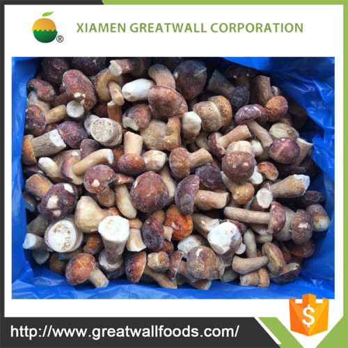 IQF frozen boletus edulis price