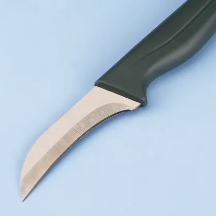 High-Quality Small Fruit Knife with Plastic Handle and Eagle Design