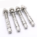 Fastener Stainless Steel Wedge Bolt M10