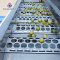 Máquina de classificação de frutas com base na classificação do tamanho