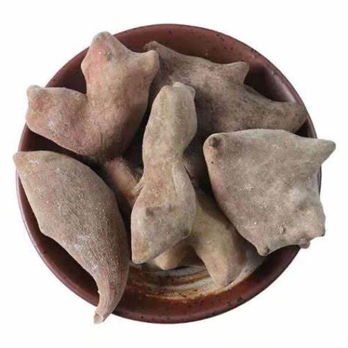 Natural Gallnut Extract Powder