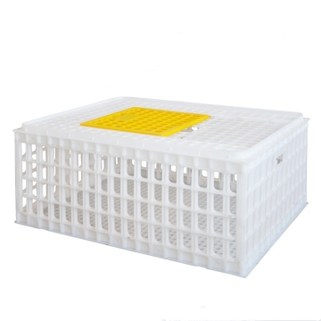 Plastic Thickened Foldable Poultry Carrier Crate 29"L x 22"W x 12"H