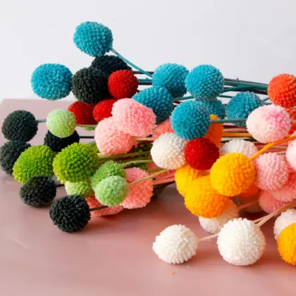 Wholesale Preserved Craspedia Golden Balls for DIY Flower Arrangements