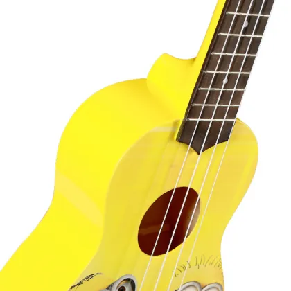 Professional electro acoustic guitar tops Acoustic Guitar