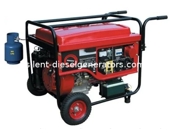 12 V, 6kw Air-cooled Gas Petrol Duel Fuel Generator With Avr Alternator