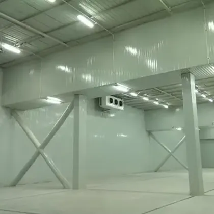 Large Logistics Cold Storage for Vegetable Cold Chain Warehouse
