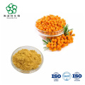 Pure Sea Buckthorn bayas hippophae rhamnoides polvo