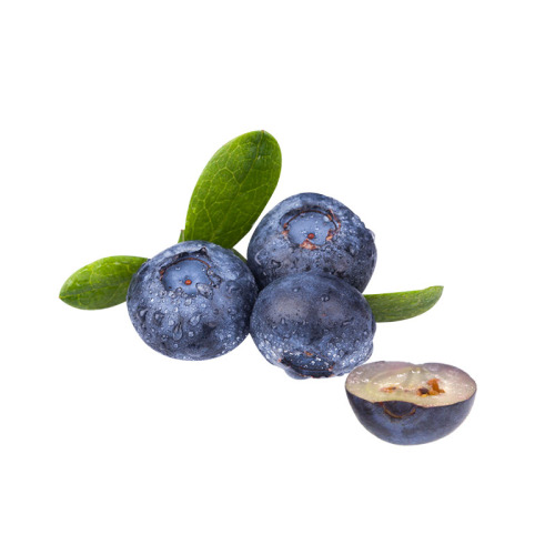 High Quality Freeze Dried Blueberry Powder Half Of Blueberry freeze-dried powder Supplier