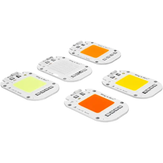 220V Smart IC Chips: 20W, 30W, 50W COB LED Chips & Customizable White & Color LED COBs