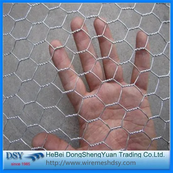 Double Twist Galvanized Hexagonal Wire Mesh