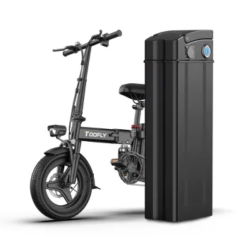 Monster Electric Bike 48V 15Ah 500W-1000W Battery