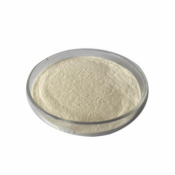 High Quality glucoamylase enzyme Food additives