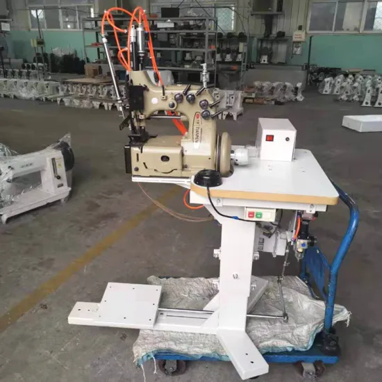 Hot Sale Home Use Overlocker Double Needle Chain Stitch Sewing Machine