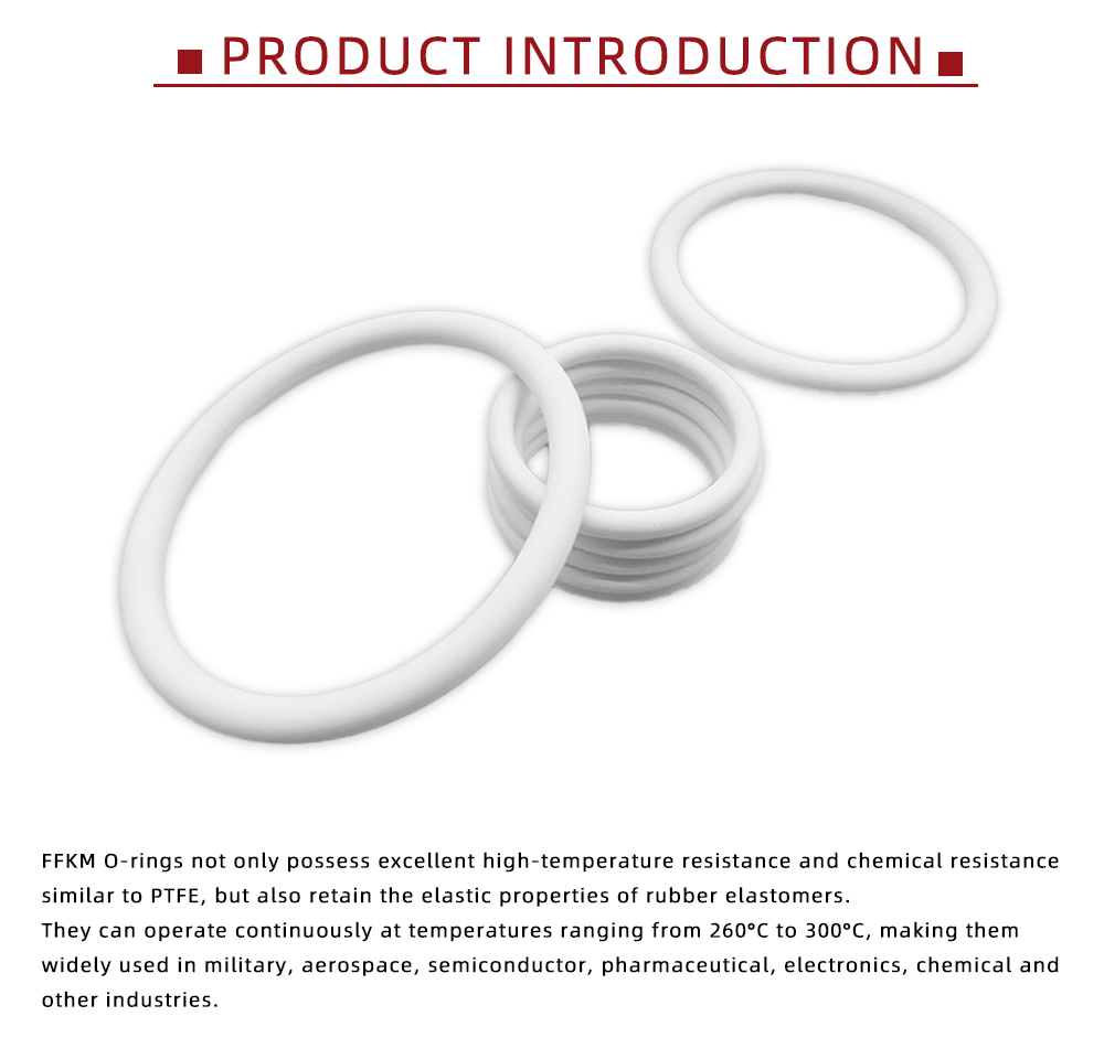 Chemical Resistant Perfluoroelastomer FFKM O-ring x