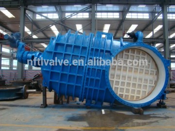 rising stem type gate valve