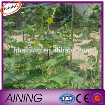 Greenhouse Plant Support Net with UV absorber