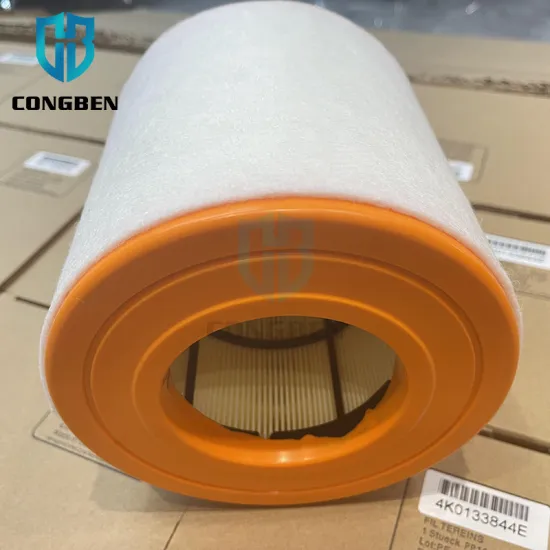 Air Filter for Audi A6 C8 A7 (4K0133844E 4K0133844A 31018586 3101858601)