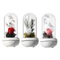 Glass flower reed aroma diffuser