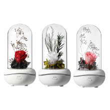 Flower Rose portable nebulizing waterless diffuser