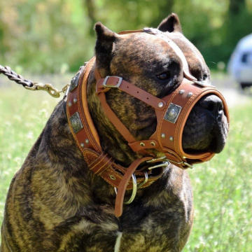 Focinho de cachorro de couro acolchoado macio