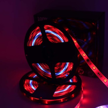 Digital RGB Pixel LED Lights for an Attractive Look