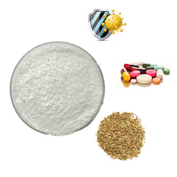 Common Cnidium Fruit Extract